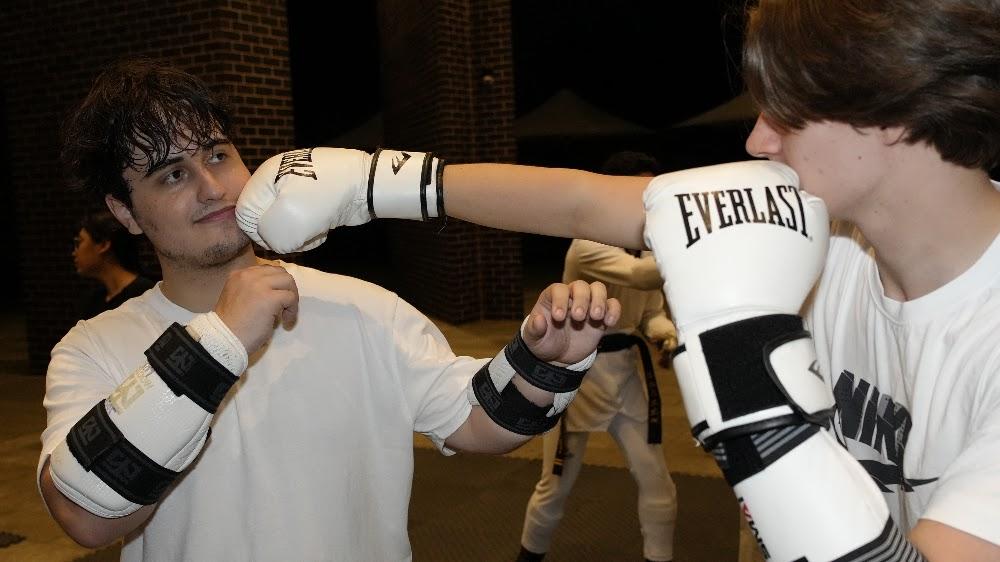 Self-defence